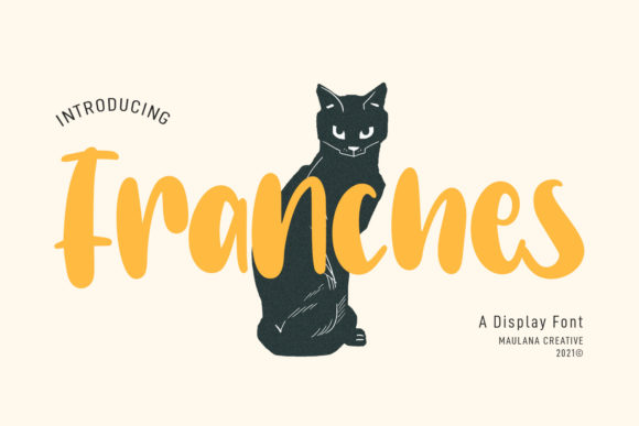 Franches Font: A Playful Display Typeface for Modern Web Design