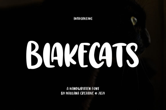 Introducing Blakecats: A Bold Display Font for Business Owners