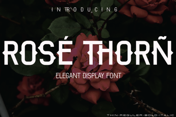 Rose Thorn Font: A Bold Display Typeface for Digital Brands